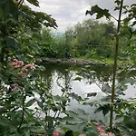 Im Alten Franziska 3*