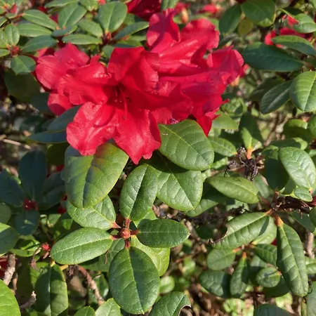 Apartman Im Alten Franziska Eslohe