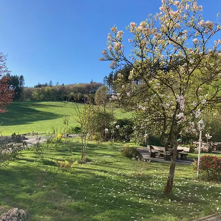 Im Alten Franziska 3*