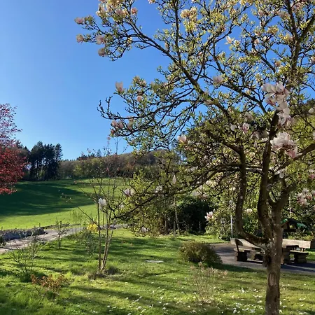 Im Alten Franziska Apartman