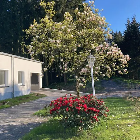 Apartman Im Alten Franziska