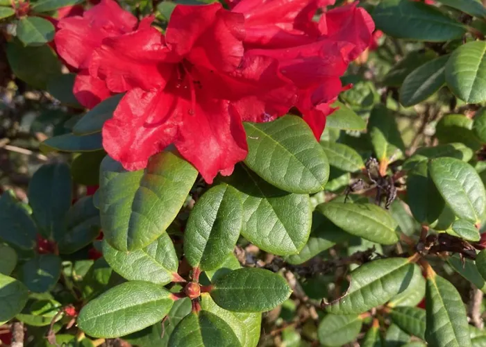 Apartamento Im Alten Franziska Eslohe