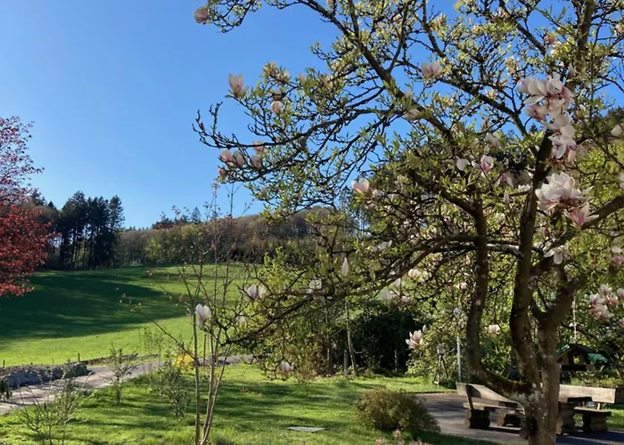 Im Alten Franziska Lägenhet